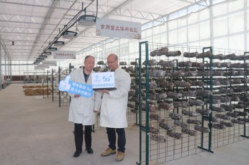 安徽移动5G“数智快车” 提速农户致富步伐，助力万杉快洗创新升级