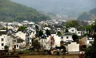 中央财政助力乡村振兴 安徽23个村获专项扶持资金，每村300万元